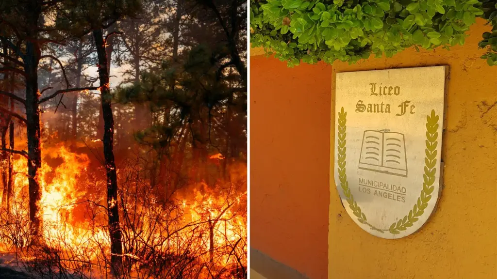 Habilitan albergue preventivo en Santa Fe por incendio forestal en Los Ángeles, La Tribuna