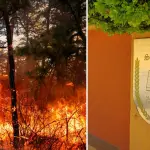 Habilitan albergue preventivo en Santa Fe por incendio forestal en Los Ángeles, La Tribuna