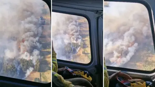 Incendio en Santa Fe: superficie afectada llega a 60 hectáreas y se mantiene Alerta Roja en Los Ángeles