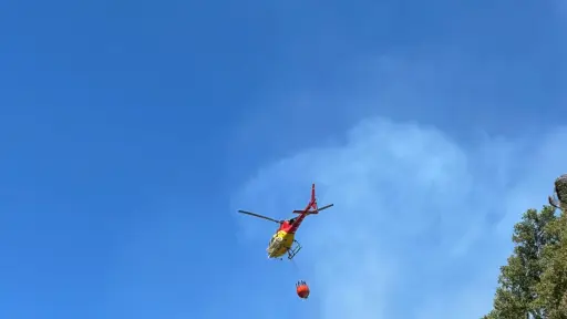 Cero Impunidad: Piden máximo rigor de la ley para quienes provoquen incendios forestales