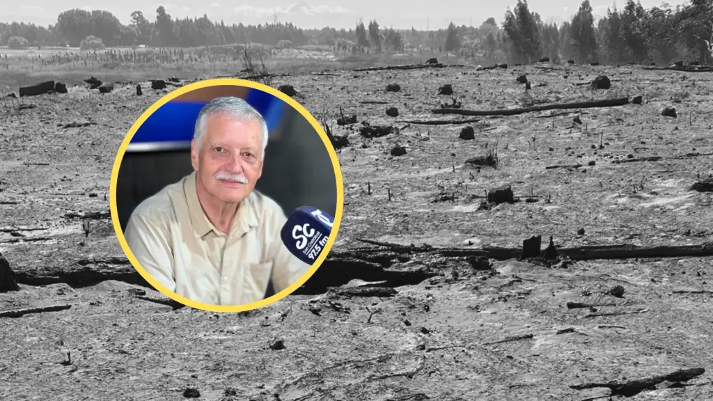 Incendio forestal en Santa Fe