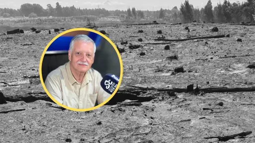 Director de Conaf Biobío: incendio en Santa Fe 