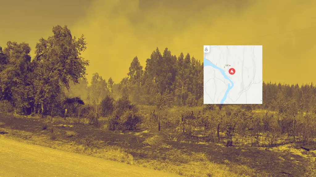 Reporte de incendio actualizado en Chile: nueve en combate, La Tribuna