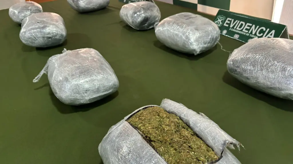 Droga incautada por el O.S.7 Los Ángeles, Carabineros de Chile