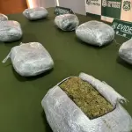 Droga incautada por el O.S.7 \'Los Ángeles\', Carabineros de Chile