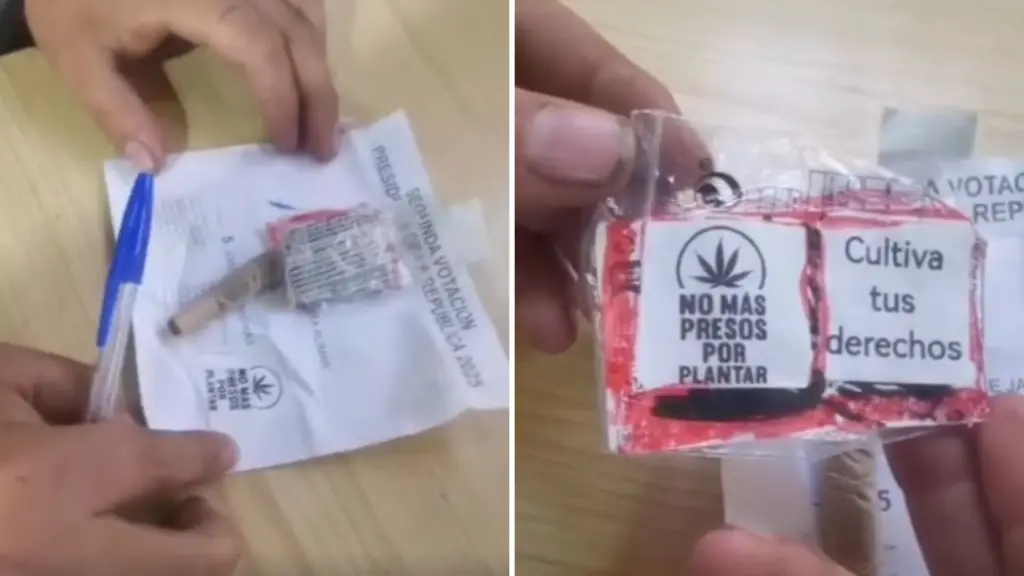Encuentran cigarro de marihuana y semillas durante conteo de votos en San Antonio, La Tribuna