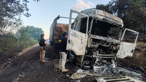 Encapuchados incendian camión forestal tras intimidar a conductor en Angol