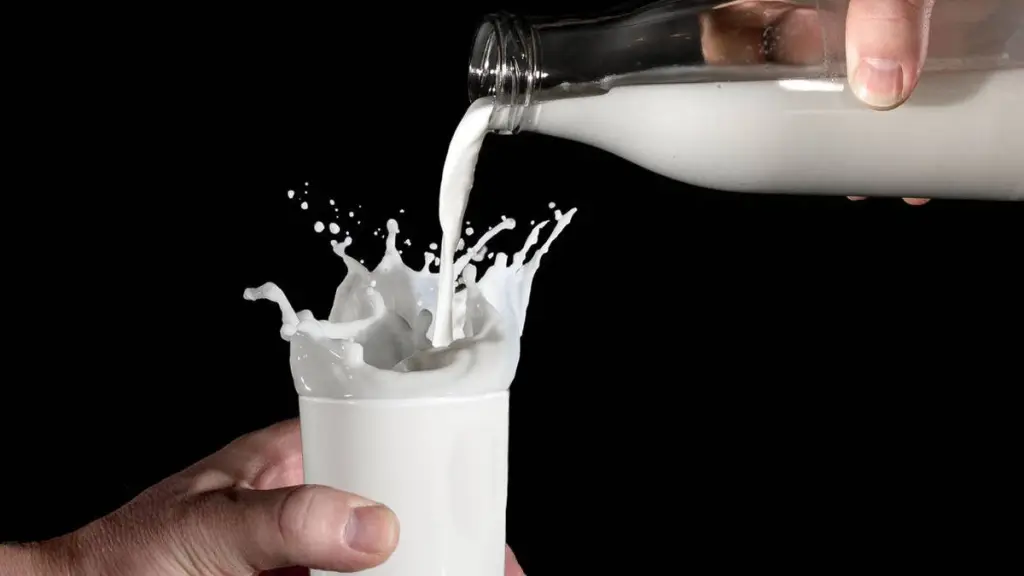 El debate se intensificó tras el fallo judicial del proceso legal entre la Asociación de Productores de Leche de Los Ríos y la empresa NotCo por competencia desleal. / Publimark.cl