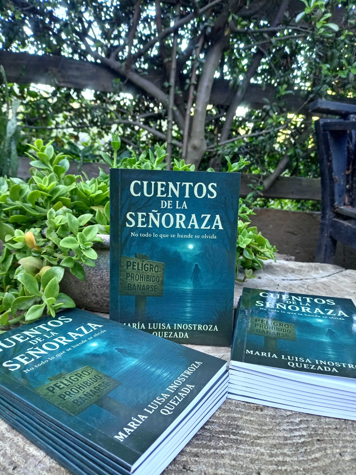 La publicación se encuentra disponible en formato digital a través de Amazon y en edición física mediante contacto directo en redes sociales de la autora. / Cedida