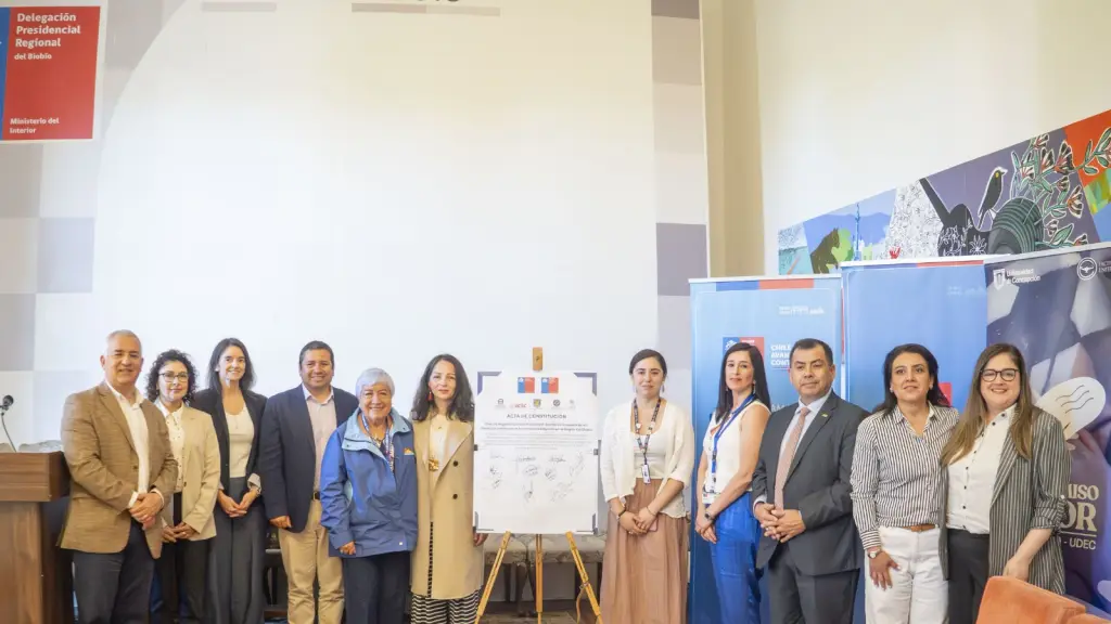 Constitución del primer “Comité Regional para la Promoción, Ejercicio y Garantía de los Derechos Humanos de las Personas Mayores”, Seremi de Salud Biobío