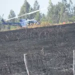Incendios forestales, Diario La Tribuna