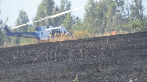 El devastador impacto de los incendios en Biobío: más de 200 mil hectáreas arrasadas en una década