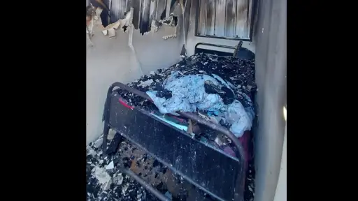 Damnificados por incendio en Los Ángeles: familia pide ayuda tras perderlo todo.