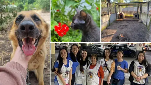 Protectora de Los Ángeles: más de 25 años de entrega y dedicación a favor de los animales desprotegidos