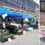 La Feria Biobío Campesina se realiza hoy en calle Caupolicán, con actividades desde temprano y un balance oficial encabezado por autoridades agrícolas en la Plaza de Armas., Nicolás Maureira | La Tribuna