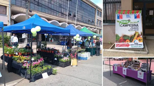 Feria Biobío Campesina se desarrolla este miércoles en el centro de Los Ángeles