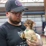 Jornada de esterilización desarrollada en la comuna de Tucapel, Municipalidad de Tucapel