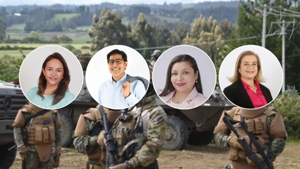 Violencia en la macrozona sur: diputados electos buscarán mantener el estado de excepción, Diario La Tribuna