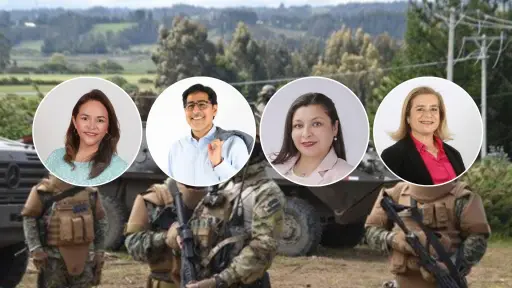 Violencia en la macrozona sur: diputados electos buscarán mantener el estado de excepción