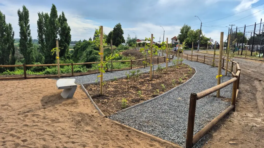 Arborización comunitaria avanza en San Carlos Purén