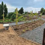 Arborización comunitaria avanza en San Carlos Purén