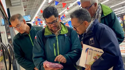 Sería fatal: ChileCarne en alerta ante brote de peste porcina en España y riesgo para las exportaciones