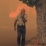 Especialistas aseguran que, ante un incendio forestal, es recomendable refugiarse en zonas con escasa vegetación, cubrir la nariz y boca con un paño húmedo o utilizar mascarillas N95., La Tribuna