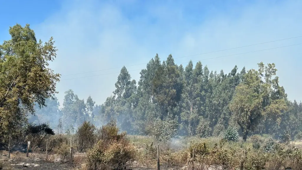De acuerdo con el reporte oficial, el incendio forestal afectó una superficie estimada de 104 hectáreas y se mantuvo en combate desde su declaración el pasado 16 de diciembre., Diario La Tribuna