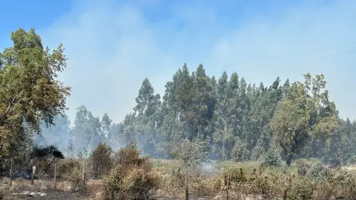 Cancelan Alerta Roja en Los Ángeles tras contención de incendio forestal que afectó más de 100 hectáreas en Santa Fe