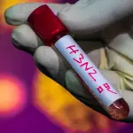 Subclado K, contexto