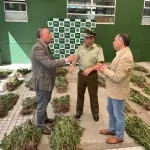 Lo incautado equivale a 2 millones de dosis, avaluadas en el mercado ilegal en más de 10 mil millones de pesos., Ministerio Público