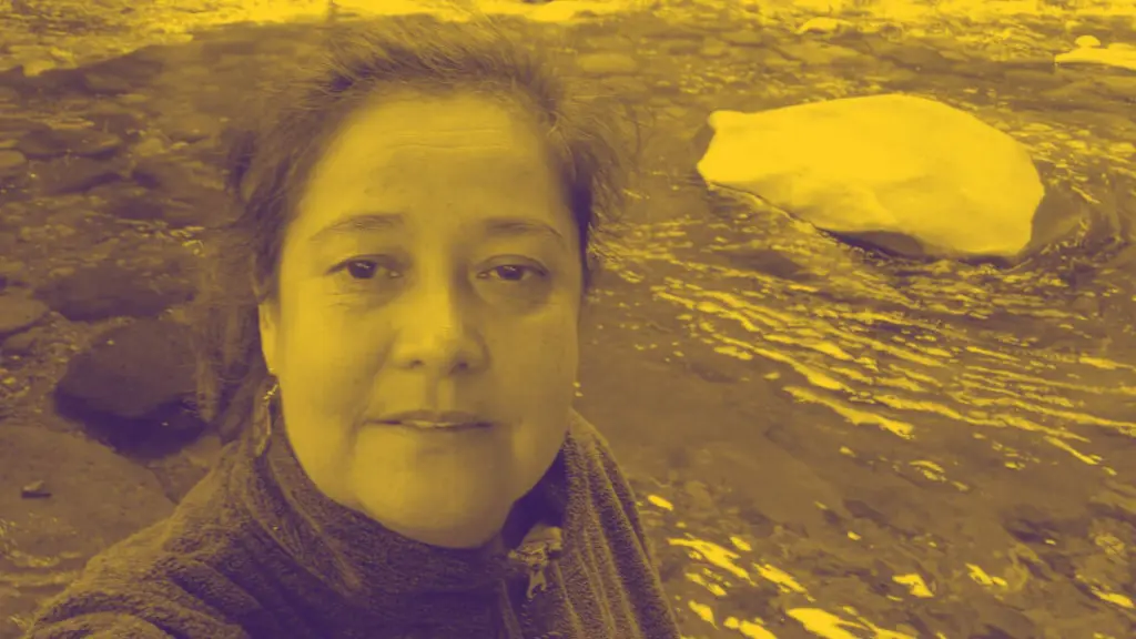 AHORA: Encuentran con vida a mujer desaparecida en Mulchén , Diario La Tribuna