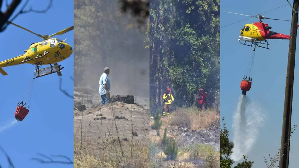 Incendios Alameda Sur, Santa Fe, Archivo La Tribuna