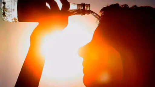 Cuidado con el calor: autoridad activa alerta por hanta, incendios y quiebre de cadena de frío en alimentos