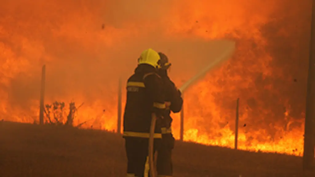 Bomberos trabaja para tener profesionales en el combate de incendios forestales, referencial