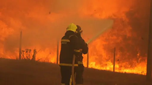 Profesionales del fuego: Bomberos trabaja para tener expertos en el control de incendios forestales
