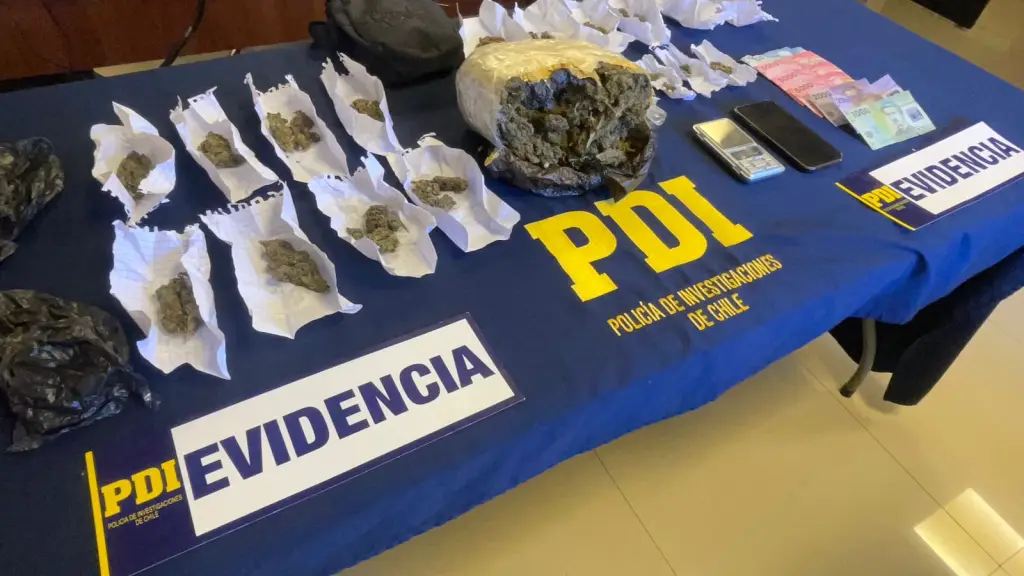 Incautación realizada por la PDI en Freire, PDI Araucanía