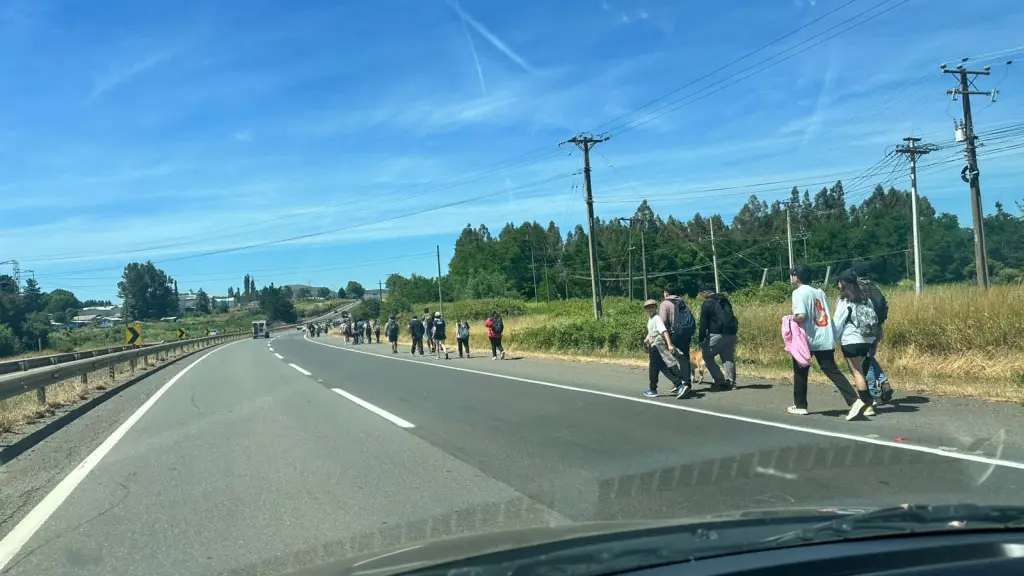 Peregrinos 2 | Cedida