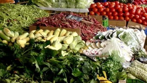 Comercio local destaca importancia del nuevo catastro de ferias libres en Los Ángeles