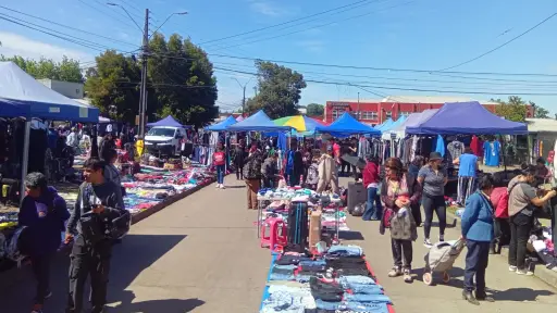 Ferias libres de Los Ángeles superan media nacional: estiman que mujeres lideran el 80% de los puestos