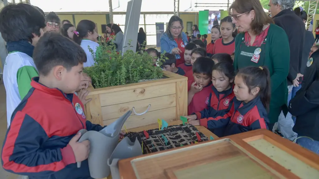 Este proceso comenzó como un piloto en plena pandemia. / Colbún