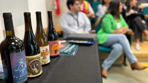 Impulso vitivinícola regional: sello de origen y tecnologías marcan la hoja de ruta para 2026