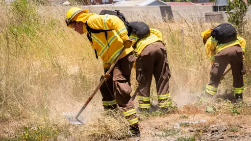 Provincia de Biobío alcanza 244 kilómetros de cortafuegos: autoridades proyectan superar la meta