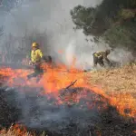 Dos incendios de pastizales movilizan a Bomberos en distintos puntos de Los Ángeles, Diario La Tribuna