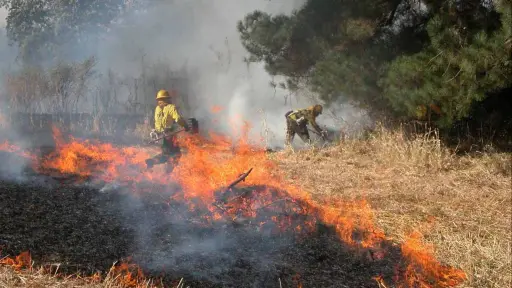 Dos incendios de pastizales movilizan a Bomberos en distintos puntos de Los Ángeles