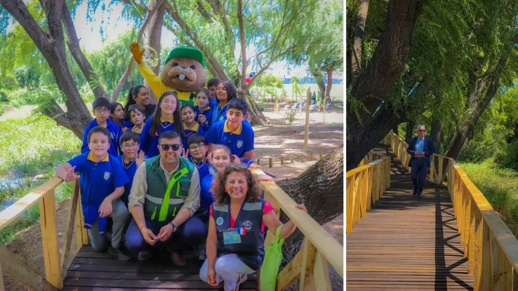 Presentan mejoras ambientales en el Humedal El Indio con nuevo sendero y plantación de árboles nativos