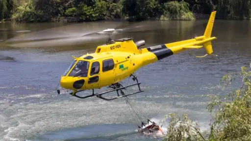 El combate de incendios forestales en Biobío se refuerza con diez aeronaves