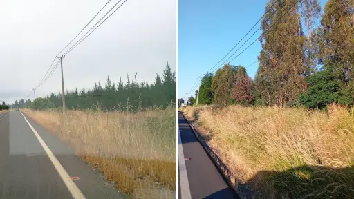 Vecinos alertan riesgo de incendios por pastizales sin cortar en el camino Cerro Colorado en Los Ángeles