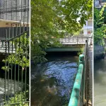 \'Ya no son reparables\': Alertan estado de los puentes del Estero Quilque en el centro de Los Ángeles , Diario La Tribuna