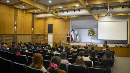 Equipos de la COMPIN del Biobío se capacitan para mejorar trámites y experiencia usuaria 